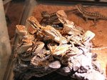 60422_1.jpg