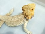 60430_1.jpg